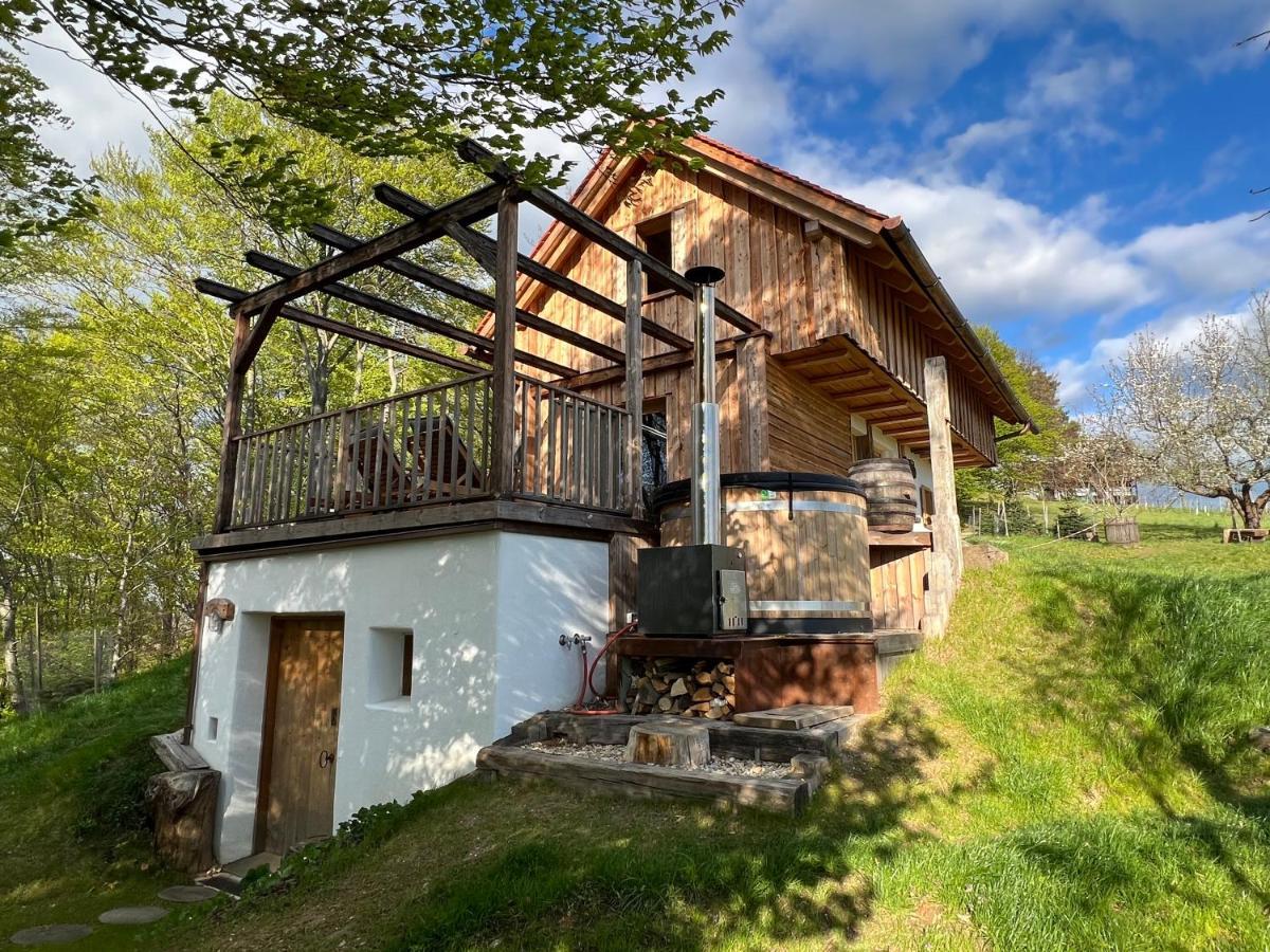 Kellerstoeckl Huetter Villa Gussing Bagian luar foto