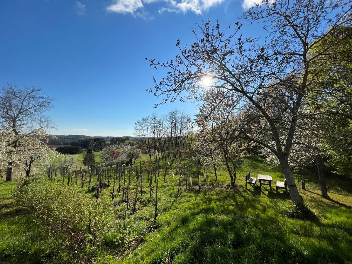 Kellerstoeckl Huetter Villa Gussing Bagian luar foto
