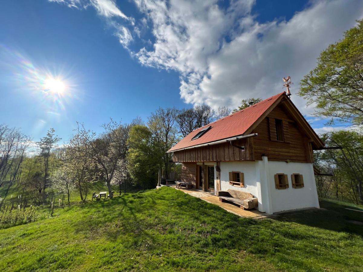 Kellerstoeckl Huetter Villa Gussing Bagian luar foto