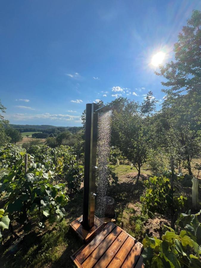 Kellerstoeckl Huetter Villa Gussing Bagian luar foto